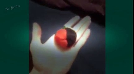 Komik Kediler Derleme Eylül 2015 Vine