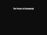 Download The Ponds of Kalambayi Ebook Online