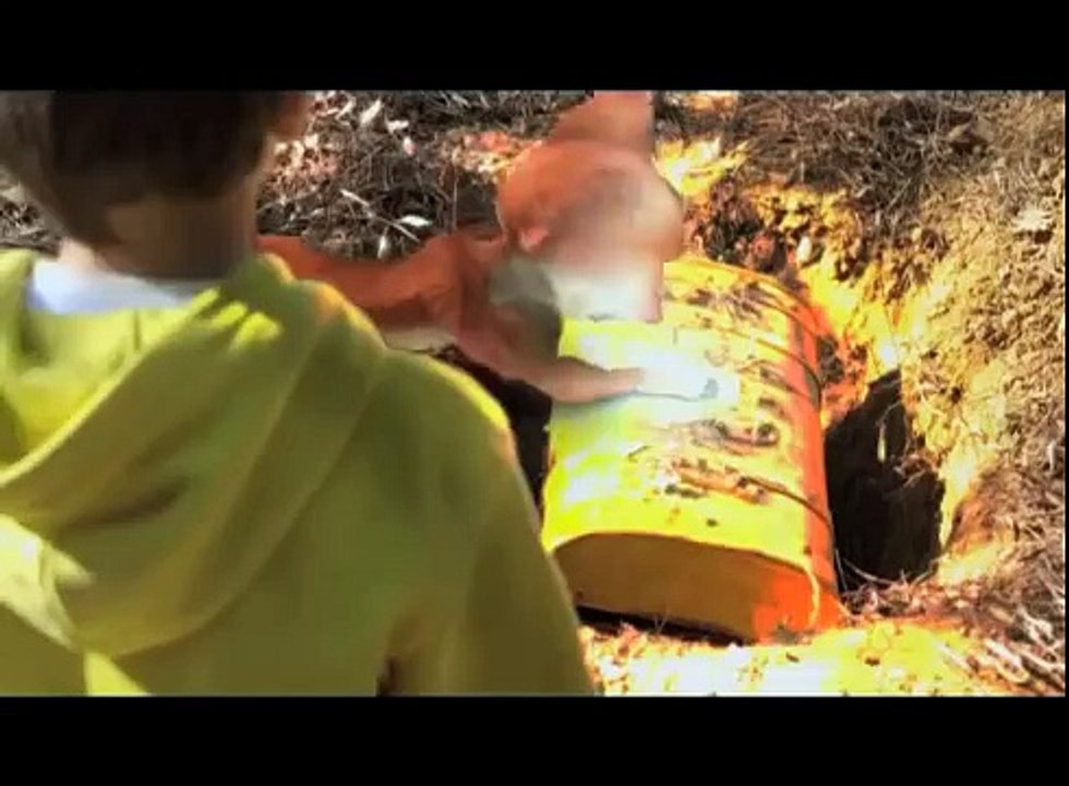 Sevimli dinozor Pirdino trt çocuk izle