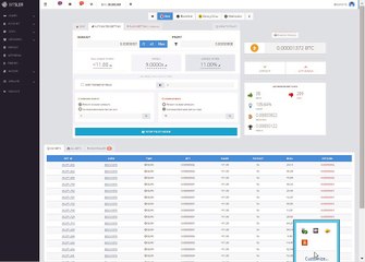 Bitsler BTC Martingale Strategy Part 1 [Trial]