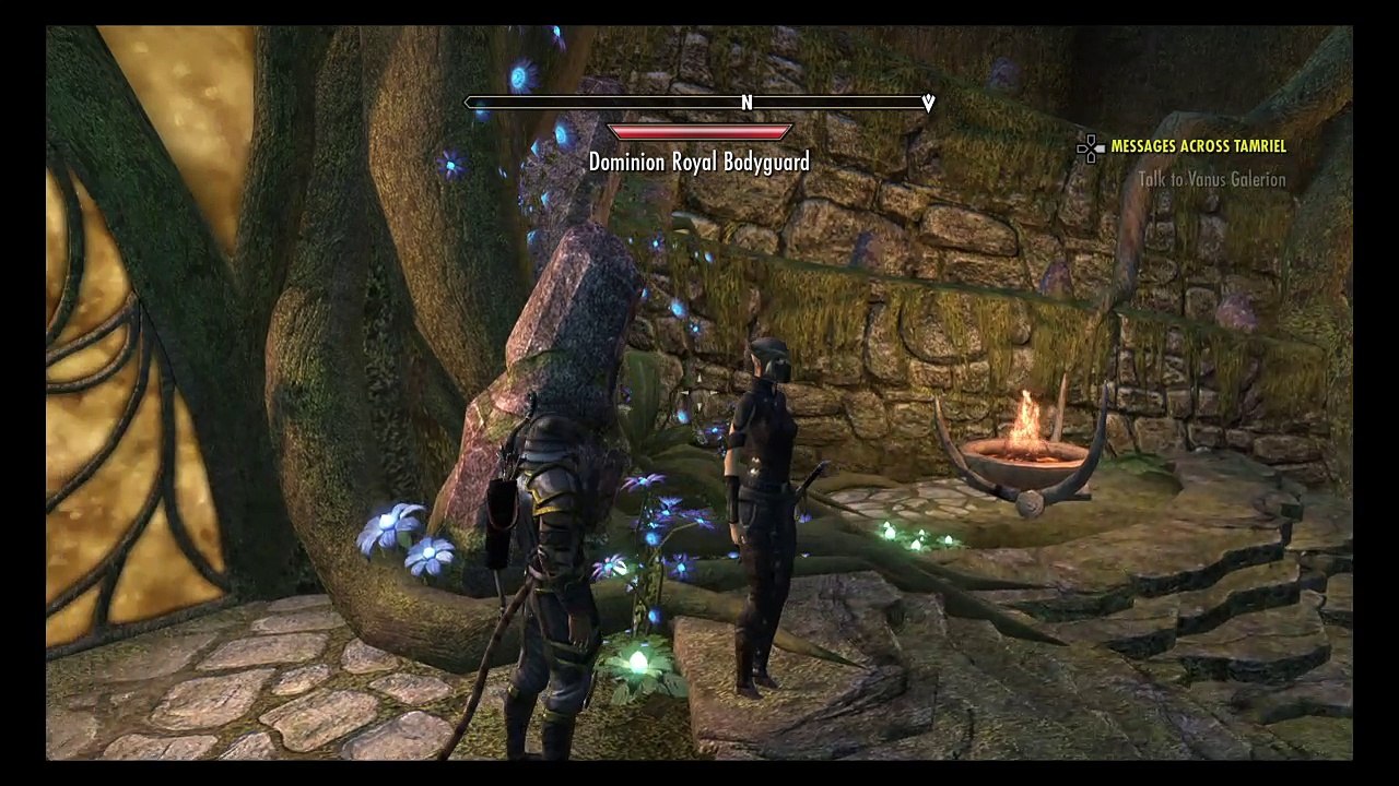 The Elder Scrolls Online: Tamriel Unlimited_2016 Aldmeri Queen is STACKED!!!