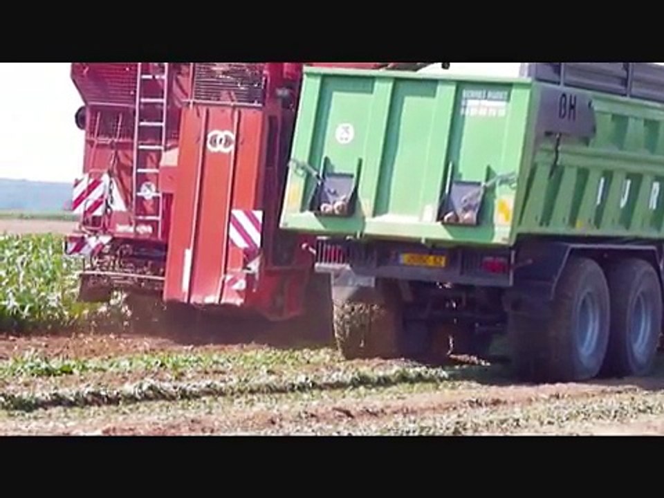 Arrachage des betteraves 2011 avec une matrot m41h (in France)