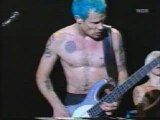 Red Hot Chili Peppers - Flea Bass Solo (Live Bizarre)