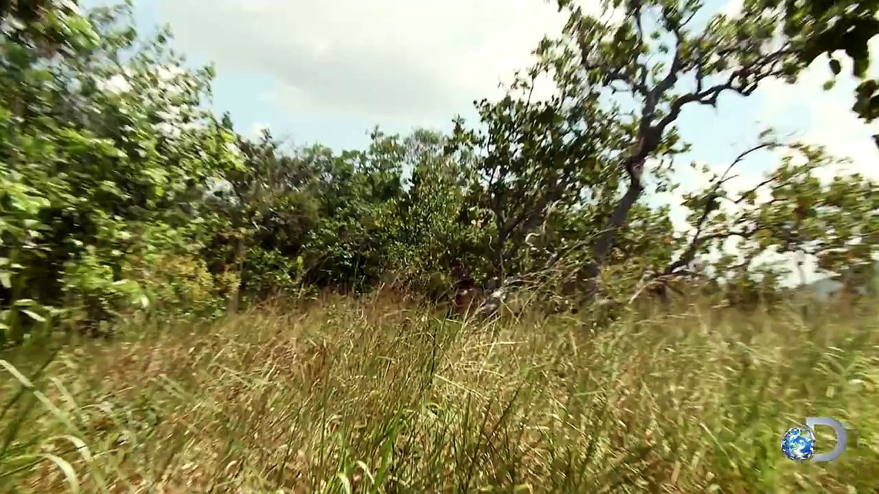 Dont Stifle Me | Naked and Afraid
