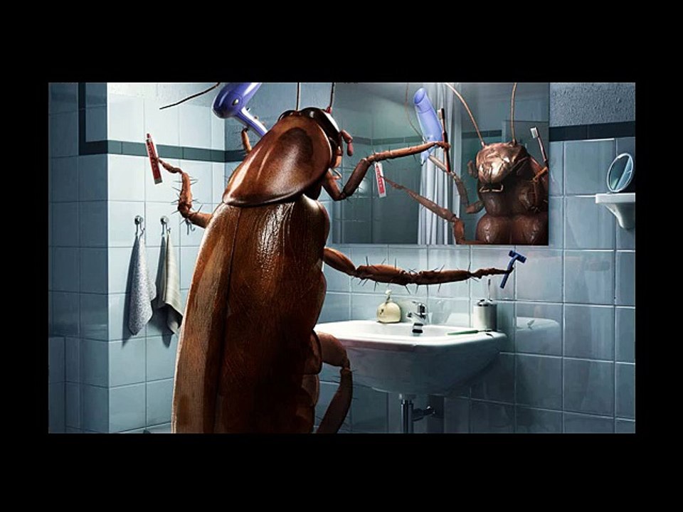 La Cucaracha