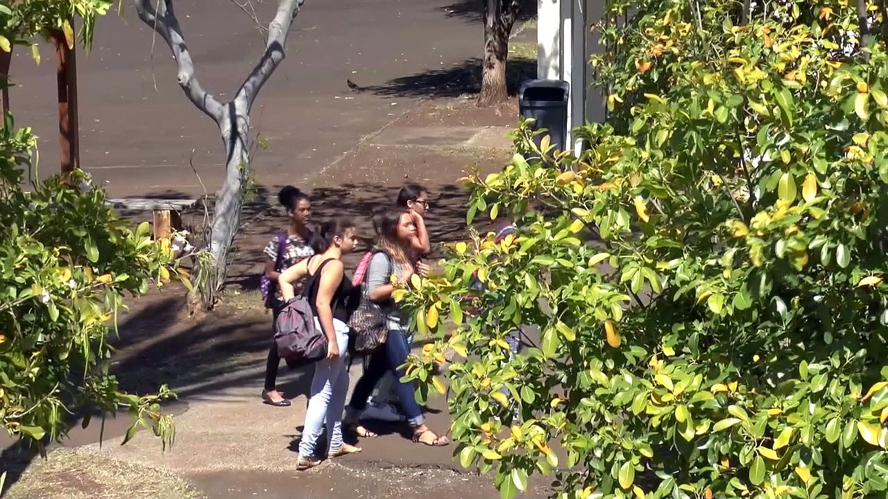 Du collège connecté au collège préfigurateur :...