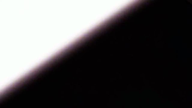 The Simpsons Movie -20th Century Fox