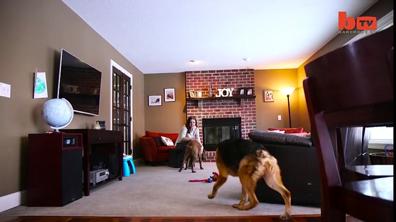 The Adorable Hunchback Dog