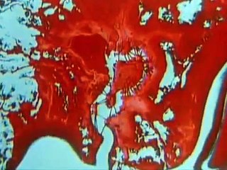 Japanese Telecom Presents: Iconic Scenes from Classic Japanese Animation 🎥