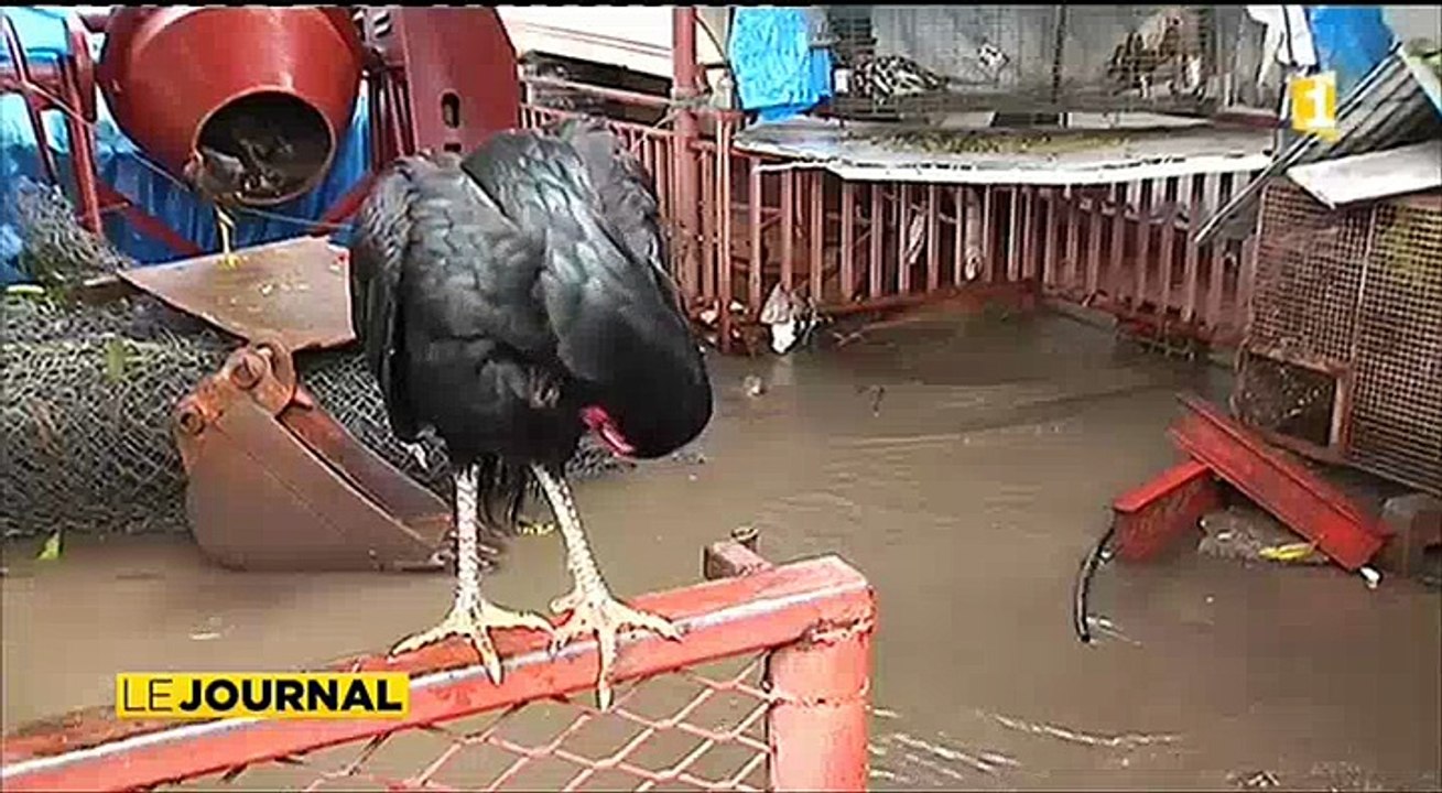 les fortes pluies provoquent inondations dégâts et accidents