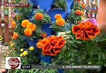 24 Oras February 26 2016 [4/5]
