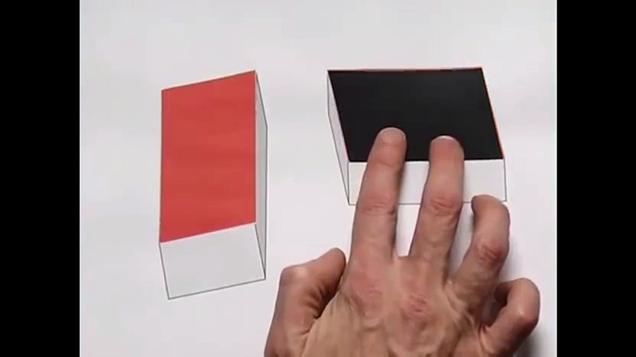 Video Optical Illusion