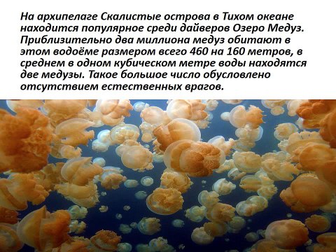 Самые необычные озёра мира