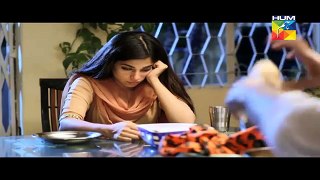 Kisay Chahoon 8th Episode Hum Tv PART 3