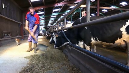 Simon, producteur de lait : "Pour 2016, on sait que c'est foutu"