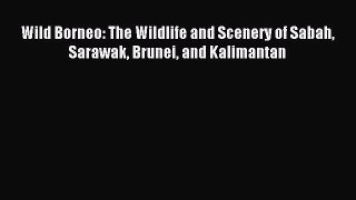 Download Wild Borneo: The Wildlife and Scenery of Sabah Sarawak Brunei and Kalimantan PDF Online