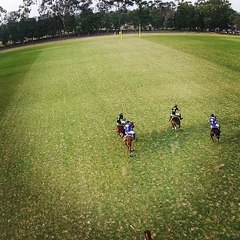 master paints V dimond paint