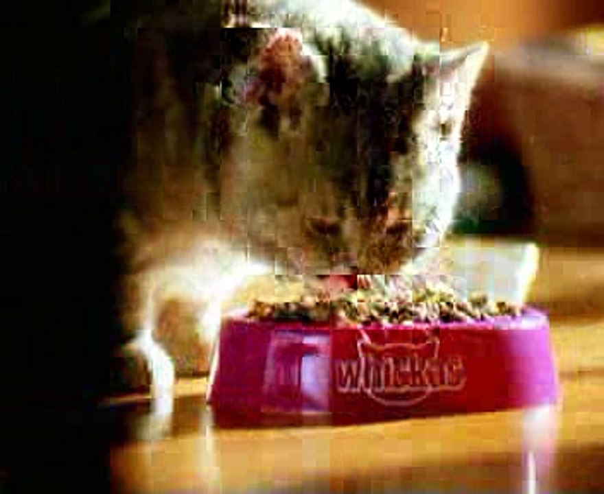 whiskas