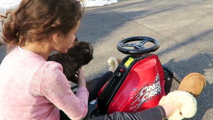 She Busted My Lip (WK 265) | Bratayley