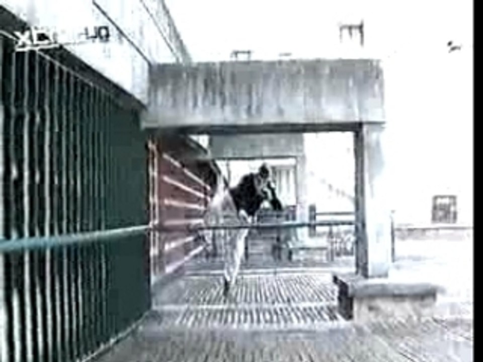 Le Parkour - David Belle Live