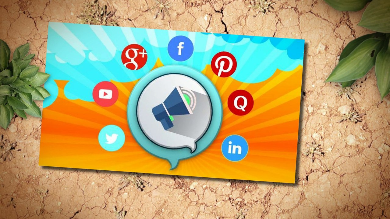 How Social Signal Checker track Social Signals?