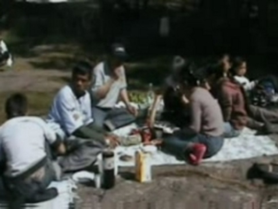My family picnic