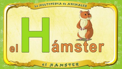 la Multipedia de animales. Letra H el Hámster