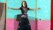 Sitara Malik Hot Private Mujra Dance - Video Dailymotion