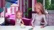 Barbie Vlog #11 | Animal Charades Challenge | Barbie