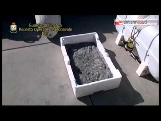 TGSRV 25FEB NOVELLAME