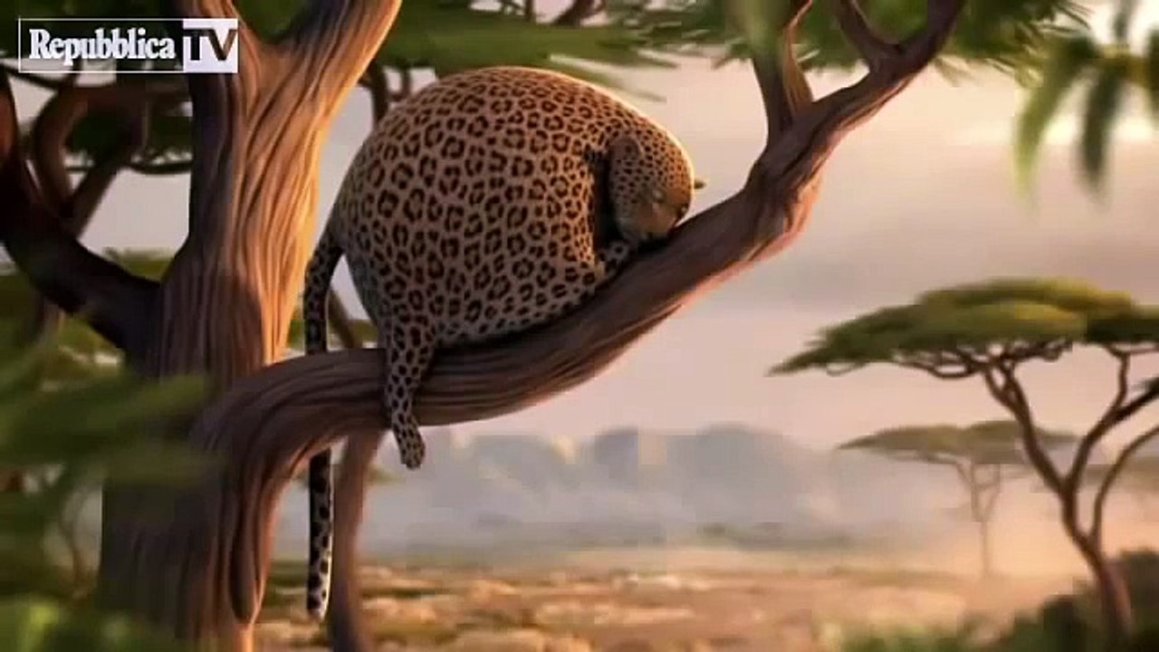 Funny Cartoons 3