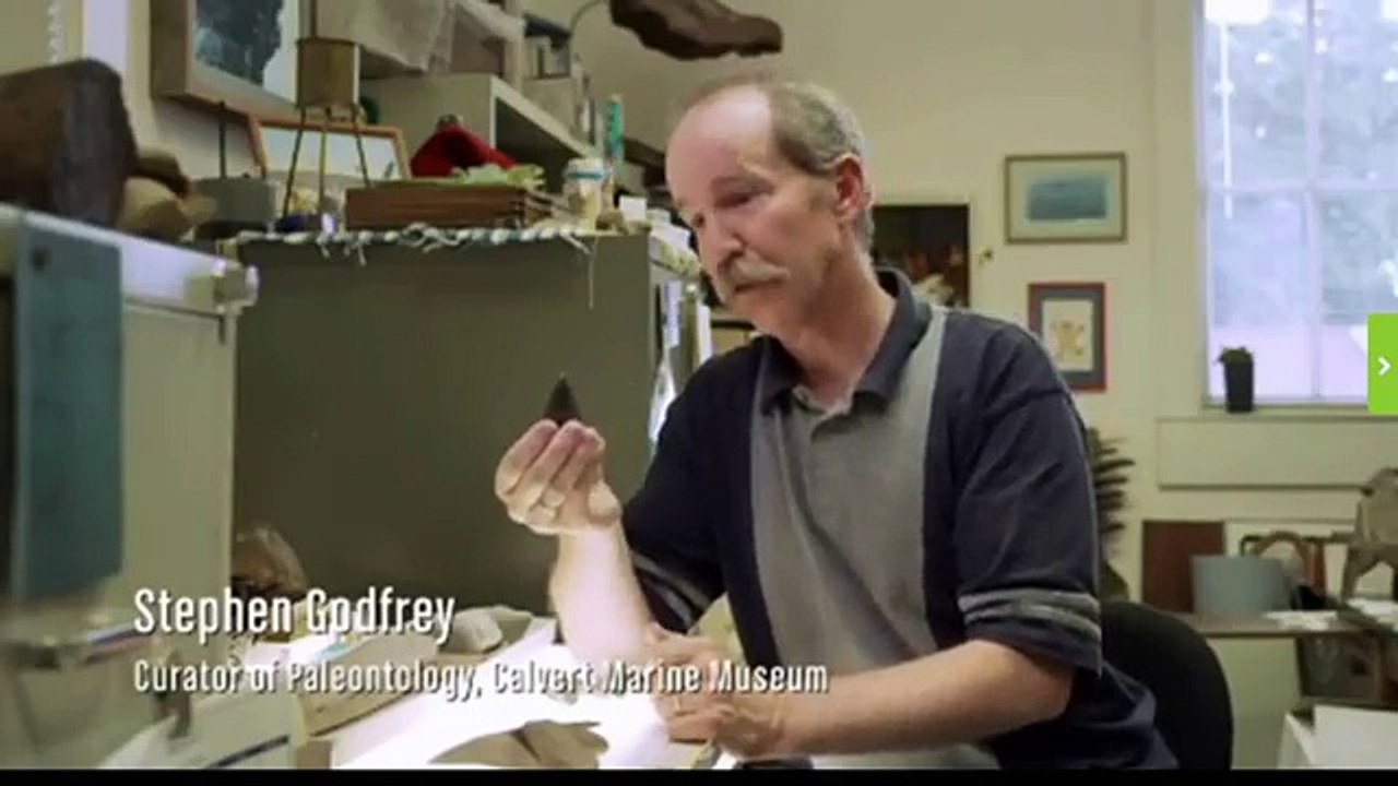 Megalodon Sharks still lives!! Evidence that MEGALODON is not extinct. - YouTube