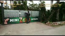 Napoli - Sequestrato zoo abusivo (26.02.16)