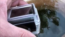 GoPro hero UNDER WATER in BIRD BATH time lapse