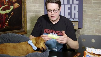 Portillo the Wiener Dog Eats a Stick Barkbox Unboxing October 2014