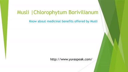 Medicinal Benefits of Musli