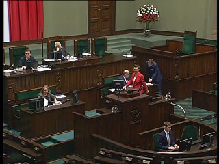 Poseł Katarzyna Lubnauer - Wystąpienie z dnia 24 lutego 2016 roku.