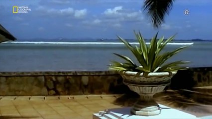 2004 Tsunami Felaketi  (Belgesel)