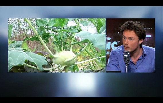 Xavier Beulin, vous êtes, pieds et mains liés, du côté des industriels