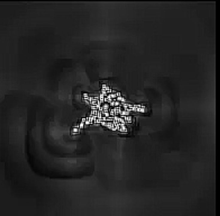 Pseudopod Extension in Nutrient Poor Conditions