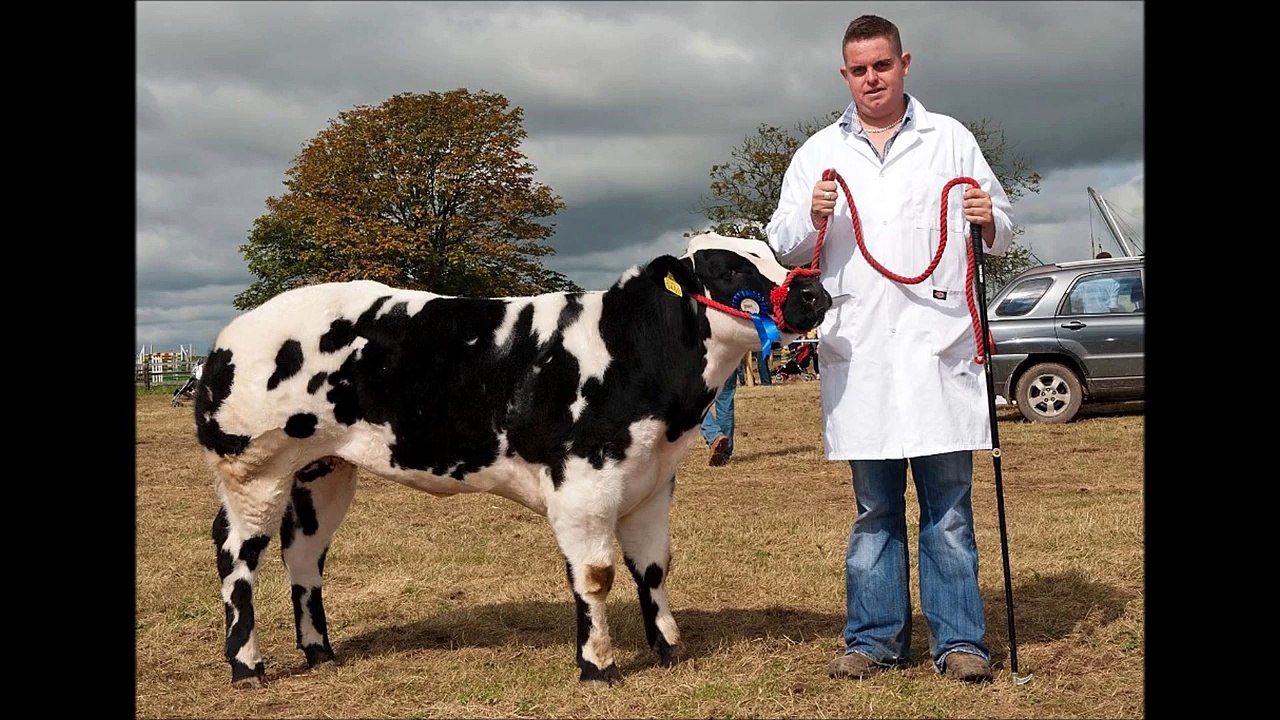 Carrick Fatstock 2012