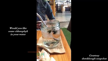 Derek Hough's snapchat posts - February 24, 2016