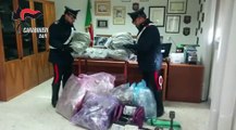 Andria: scovata centrale di droga ed auto rubate