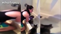 funny cats videos ,Cats Saying No to Bath - A Funny Cats In Water for bath 2016