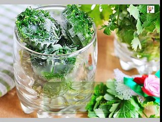 Как заморозить зелень рецепт