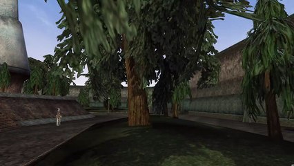 Morrowind Origins Gaenor
