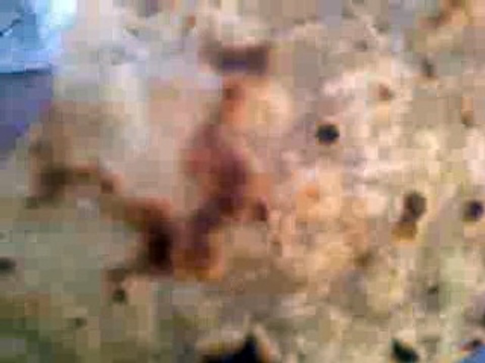 Name of Muhammad(SAW) On roti qudrat of Allah