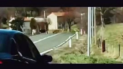 썬시티카지노【 KOP77。COM 】로얄드림카지노랜드