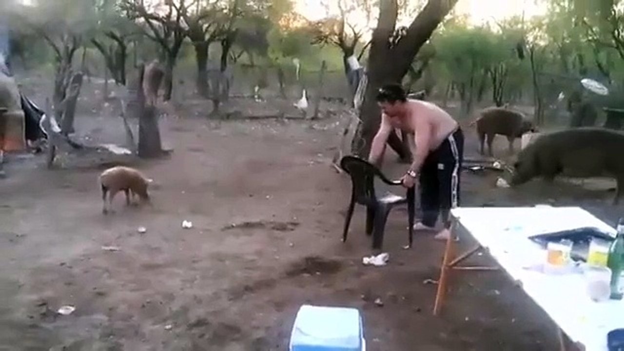 Adam, Annesinin Yanında Yavru Domuzu Yakalayınca..