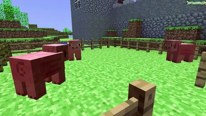 Gmod Sandbox Funny Moments: Minecraft Edition, Wildcats Birthday & Cat Killer Delirious!